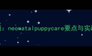 早产小狗护理全指南neonatalpuppycare要点与实战经验完整攻略
