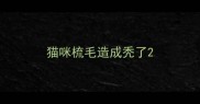猫咪梳毛造成秃了