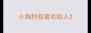 小狗特别喜欢咬人