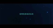 拉布拉多幼犬头长