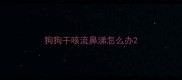 狗狗干咳流鼻涕怎么办