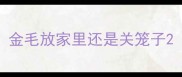 金毛放家里还是关笼子