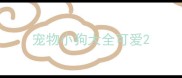 宠物小狗大全可爱