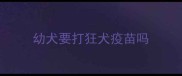 幼犬要打狂犬疫苗吗