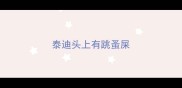泰迪头上有跳蚤屎