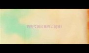 狗狗疫苗过敏死亡找谁