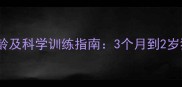 幼犬憋尿最佳年龄及科学训练指南3个月到2岁狗狗如厕管理全