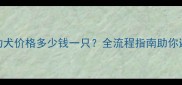 哈士奇幼犬价格多少钱一只全流程指南助你避坑养宠