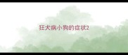 狂犬病小狗的症状