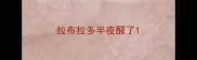 拉布拉多半夜醒了