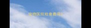 宠物医院检查费用