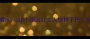 狗狗突然不爱喝水这8个原因让主人惊掉下巴附正确引导攻略