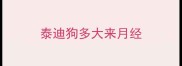 泰迪狗多大来月经