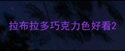 拉布拉多巧克力色好看