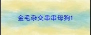 金毛杂交串串母狗