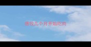 德牧几个月开始吃肉