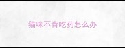 猫咪不肯吃药怎么办