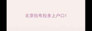 北京拉布拉多上户口