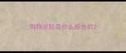 狗狗皮肤是什么颜色的