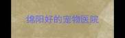 绵阳好的宠物医院