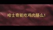 哈士奇能吃鸡肉肠么
