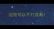 边牧可以不打疫苗