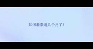 如何看泰迪几个月了