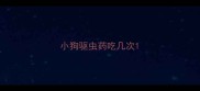 小狗驱虫药吃几次