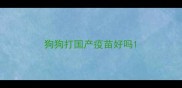 狗狗打国产疫苗好吗