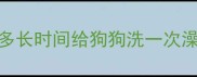 多长时间给狗狗洗一次澡