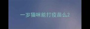 一岁猫咪能打疫苗么