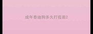成年泰迪狗多久打疫苗