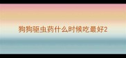 狗狗驱虫药什么时候吃最好