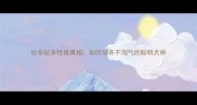 拉布拉多性格真相如何培养不淘气的聪明犬种