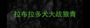 拉布拉多犬大战狼青