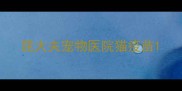 屈大夫宠物医院猫疫苗