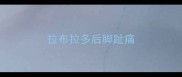 拉布拉多后脚趾痛