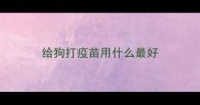 给狗打疫苗用什么最好