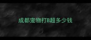 成都宠物打B超多少钱