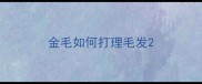 金毛如何打理毛发