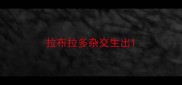 拉布拉多杂交生出