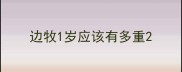 边牧1岁应该有多重