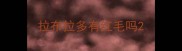 拉布拉多有红毛吗