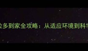 新手必读小拉布拉多到家全攻略从适应环境到科学饲养的120天指南