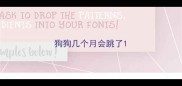 狗狗几个月会跳了