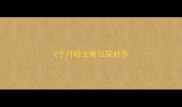 2个月哈士奇拉屎好多