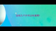 边牧几个月可以吃蛋黄