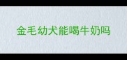 金毛幼犬能喝牛奶吗