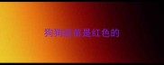 狗狗疫苗是红色的