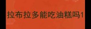 拉布拉多能吃油糕吗